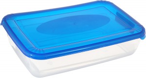 Емкость д/СВЧ и хранения продуктов Polar microwave 0,45л, прямоуг, голубой/прозрач PT9670 Plast team