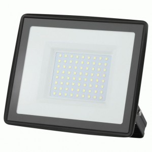 ЭРА прожектор св/д 100W (8000lm) 6500K 6K LPR-023-0-65K-100 185х176х37 6189