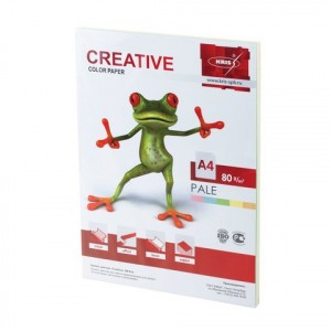 Бумага цветн. пастельн. А4, 100л. (5цв.х20л.) 80г/м  CREATIVEcolor БПpr-100r,  110499