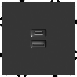Stekker ЭМИЛИ мех. роз. СУ 2 мест. USB + Type C, 20W, черный уголь, soft touch RST10-5115-05 49853