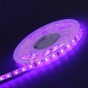 SmartBuy лента св/д 12V 14,4w/m SMD 60led/m IP65 RGB (уп 5м,цена за уп) SBL-IP65-14-4-RGB-DBL