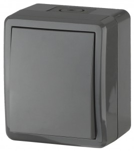 ЭРА Эксперт выкл. ОУ 1 кл. 10А серый (PC) IP54 11-1401-03