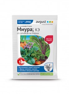 Миура 4мл. (защита от сорняков) на грядках овощных культур Август