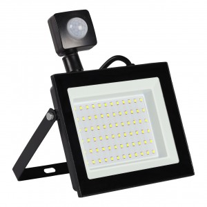 SmartBuy прожектор св/д 50W(4000lm) FL 6500K 6K 199x163x49 IP65 SBL-EFLSEN-50-65