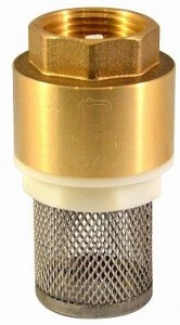 СТМ Обратный клапан с сеткой 3/4" CBCVF034