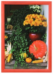 Фоторамка Сосна 30*40/8  (7N26) цвет красный (8 шт/кор) ГРУЗИТЬ КОРОБКАМИ!!! Фрейм