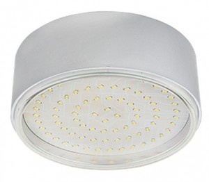 Ecola GX70-N50 св-к накладной пластик Серебро 42x120 FS70NFECD