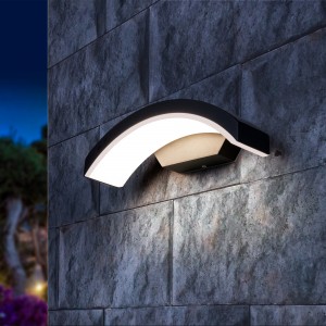 Elektrostandard Св-к улич. 1671 TECHNO LED черный Asteria D, a035817