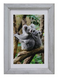 Фоторамка Сосна 30*40/8  (7N26) цвет серебро(8 шт/кор) ГРУЗИТЬ КОРОБКАМИ!!! Фрейм