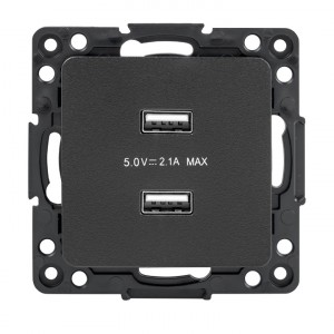 EKF Стокгольм мех. роз. СУ USB 2 мест. 2,1А черный автоклеммы (корпус PC) EZR16-028-10-2USB