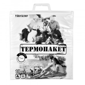 Термопакет 42*45см, до 10кг, пластиковая ручка, 61435 BOYSCOUT