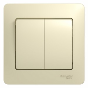 Schneider GLOSSA мех. выкл. СУ 2 кл. беж. (пласт. осн., инд.) GSL000253