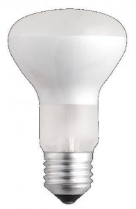 JAZZWAY R63 E27 60W зеркальная матовая .3321444