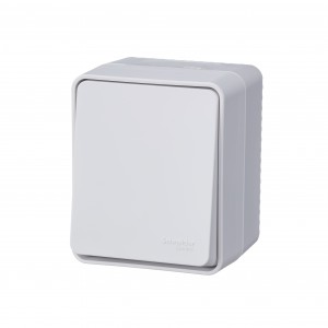 Schneider AtlasDesign Profi54 перекл. (проходн.) ОУ 1 кл. бел. (пл.осн., IP54, IK08) (12!) ATN540161