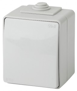 ЭРА Эксперт выкл. проходн. IP65, 10АХ-250В, ОУ, серый (10/100/1600)