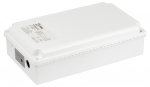Эра блок авар питания для св/д св-ков универсальный до 120W БАП LED-LP-E120-1-240 IP65 55350