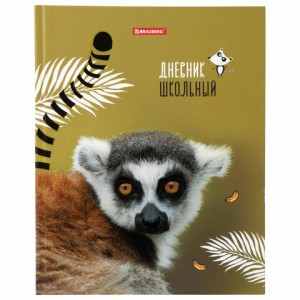 Дневник 5-11 класс 48 л., твердый, BRAUBERG, выборочный лак, с подсказом, "УХ ТЫ", 105592